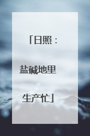 日照：盐碱地里生产忙