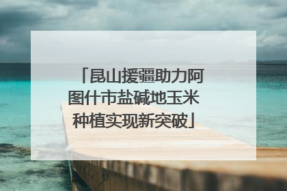 昆山援疆助力阿图什市盐碱地玉米种植实现新突破