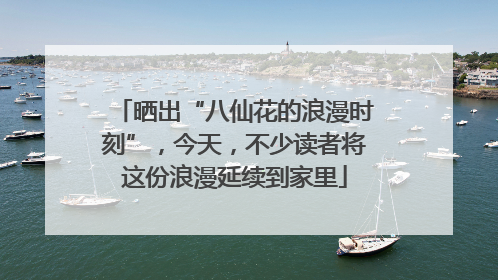 晒出“八仙花的浪漫时刻”，今天，不少读者将这份浪漫延续到家里