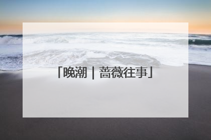 晚潮｜蔷薇往事