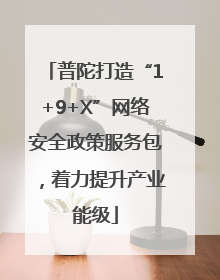 普陀打造“1+9+X”网络安全政策服务包，着力提升产业能级