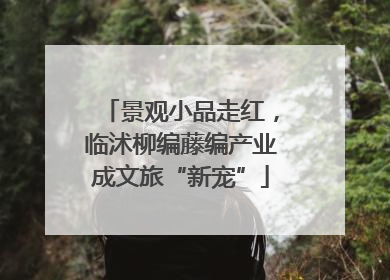 景观小品走红，临沭柳编藤编产业成文旅“新宠”
