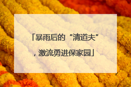 暴雨后的“清道夫”，激流勇进保家园