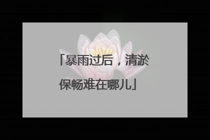 暴雨过后，清淤保畅难在哪儿
