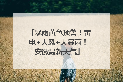 暴雨黄色预警！雷电+大风+大暴雨！安徽最新天气