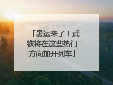 暑运来了！武铁将在这些热门方向加开列车