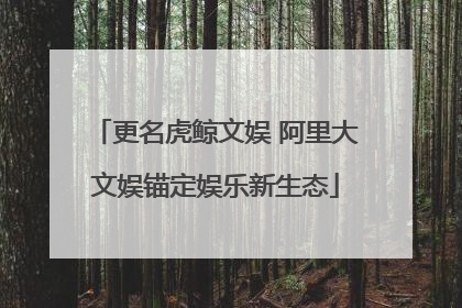 更名虎鲸文娱 阿里大文娱锚定娱乐新生态