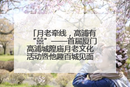 月老牵线，高浦有“囍”——首届厦门高浦城隍庙月老文化活动暨他趣百城见面会隆重举办