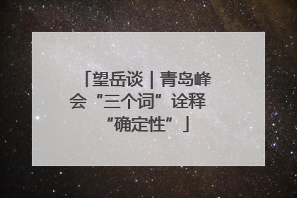 望岳谈｜青岛峰会“三个词”诠释“确定性”