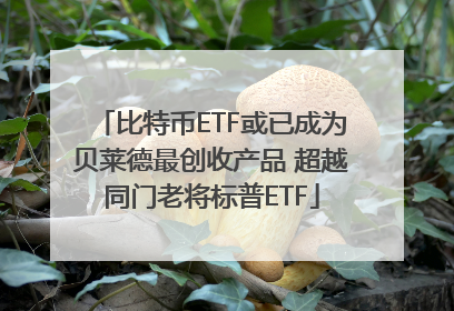 比特币ETF或已成为贝莱德最创收产品 超越同门老将标普ETF