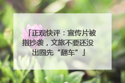 正观快评：宣传片被指抄袭，文旅不要还没出圈先“翻车”