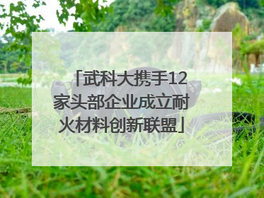 武科大携手12家头部企业成立耐火材料创新联盟
