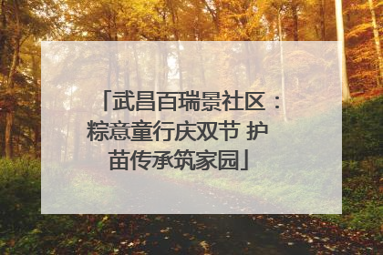 武昌百瑞景社区：粽意童行庆双节 护苗传承筑家园