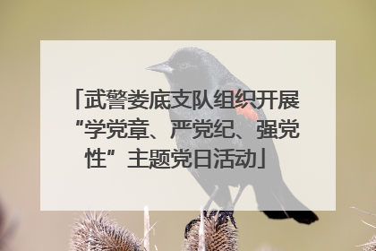 武警娄底支队组织开展“学党章、严党纪、强党性”主题党日活动