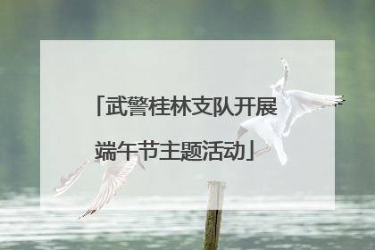 武警桂林支队开展端午节主题活动