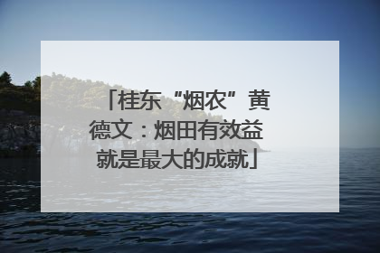 桂东“烟农”黄德文：烟田有效益就是最大的成就