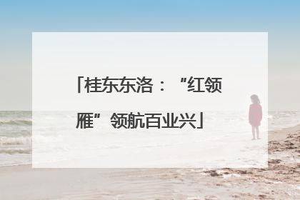 桂东东洛：“红领雁”领航百业兴