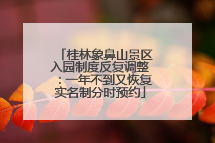 桂林象鼻山景区入园制度反复调整：一年不到又恢复实名制分时预约