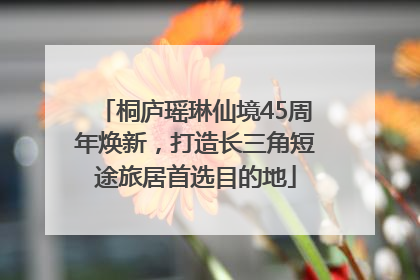 桐庐瑶琳仙境45周年焕新，打造长三角短途旅居首选目的地