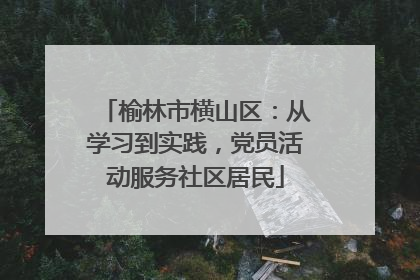 榆林市横山区：从学习到实践，党员活动服务社区居民