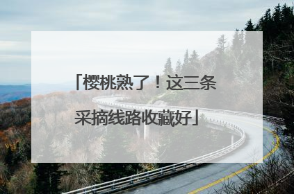 樱桃熟了！这三条采摘线路收藏好