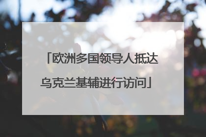 欧洲多国领导人抵达乌克兰基辅进行访问