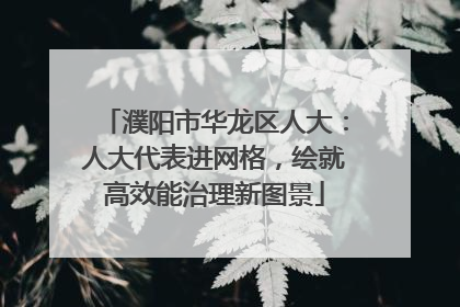 濮阳市华龙区人大：人大代表进网格，绘就高效能治理新图景