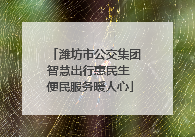 潍坊市公交集团智慧出行惠民生 便民服务暖人心