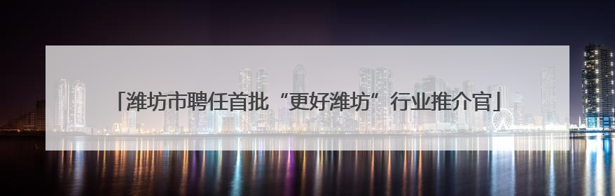 潍坊市聘任首批“更好潍坊”行业推介官