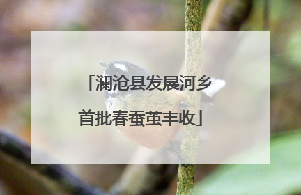澜沧县发展河乡首批春蚕茧丰收