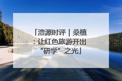 澧源时评｜桑植：让红色旅游开出“研学”之光