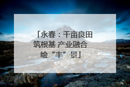 永春：千亩良田筑根基 产业融合绘“丰”景