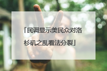 民调显示美民众对洛杉矶之乱看法分裂