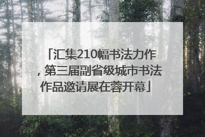 汇集210幅书法力作，第三届副省级城市书法作品邀请展在蓉开幕