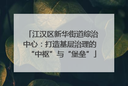江汉区新华街道综治中心：打造基层治理的“中枢”与“堡垒”