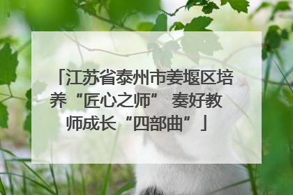 江苏省泰州市姜堰区培养“匠心之师” 奏好教师成长“四部曲”