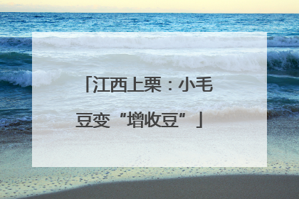 江西上栗：小毛豆变“增收豆”