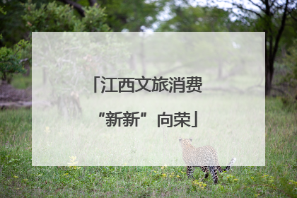 江西文旅消费“新新”向荣