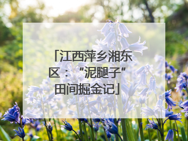 江西萍乡湘东区：“泥腿子”田间掘金记