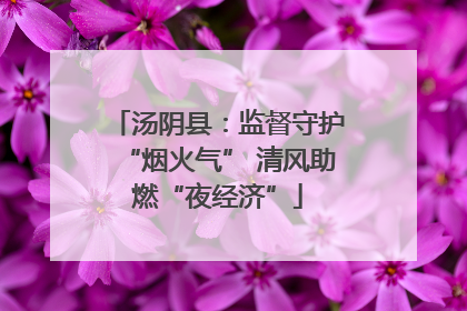 汤阴县：监督守护“烟火气” 清风助燃“夜经济”