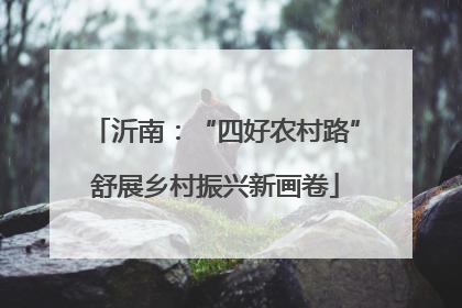 沂南：“四好农村路”舒展乡村振兴新画卷