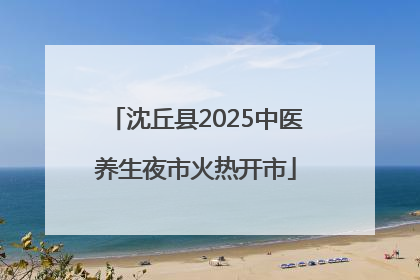 沈丘县2025中医养生夜市火热开市