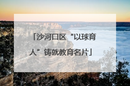 沙河口区“以球育人”铸就教育名片