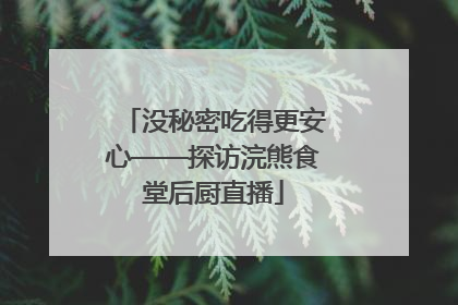没秘密吃得更安心——探访浣熊食堂后厨直播