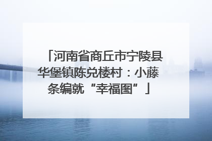 河南省商丘市宁陵县华堡镇陈兑楼村：小藤条编就“幸福图”