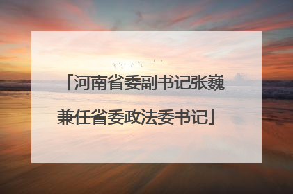 河南省委副书记张巍兼任省委政法委书记