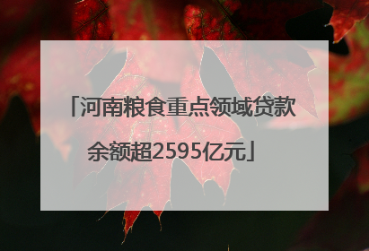 河南粮食重点领域贷款余额超2595亿元