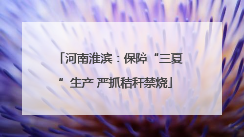 河南淮滨：保障“三夏”生产 严抓秸秆禁烧