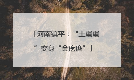 河南镇平：“土蛋蛋”变身“金疙瘩”
