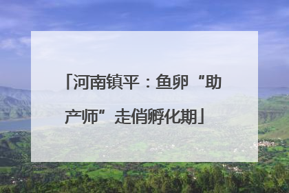 河南镇平：鱼卵“助产师”走俏孵化期